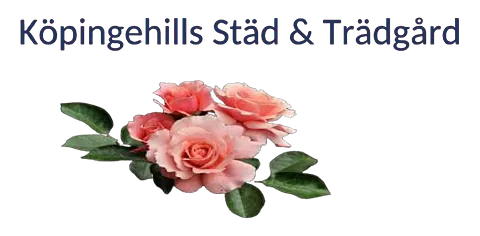 Bench2Bedside Logo